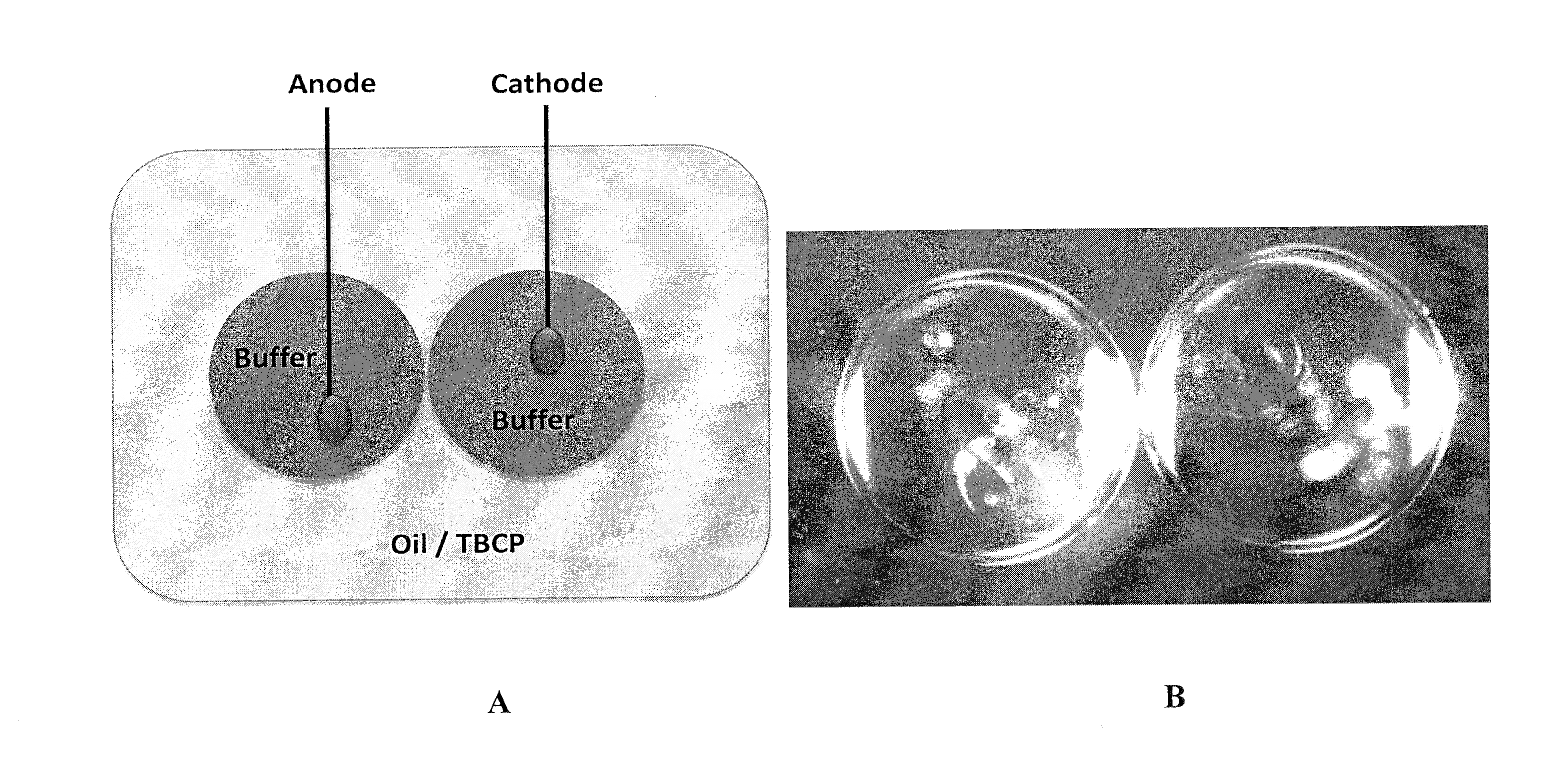 Droplet interfaces