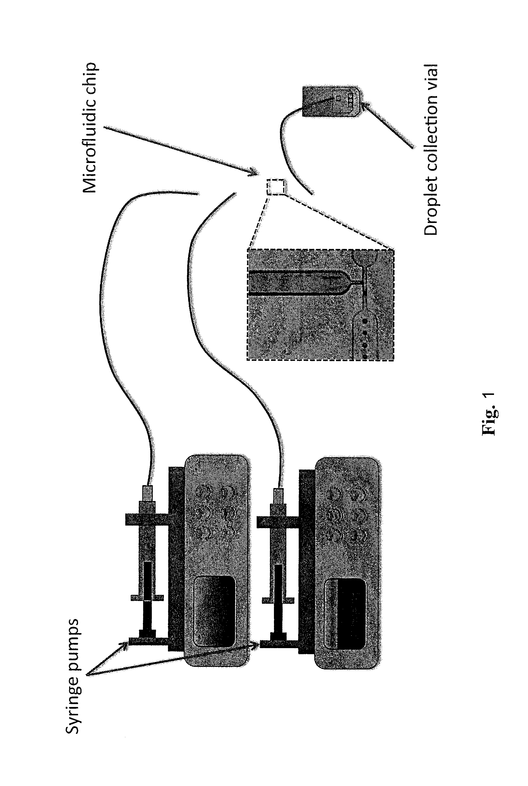 Droplet interfaces