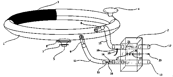 Precise-control breeding system with annular pipeline for cuttlefish individuals