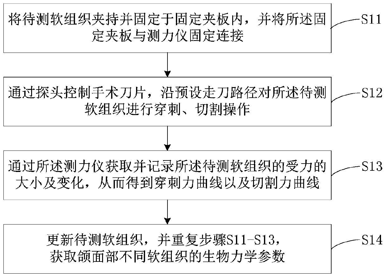 Soft tissue biomechanical parameter measuring method and system