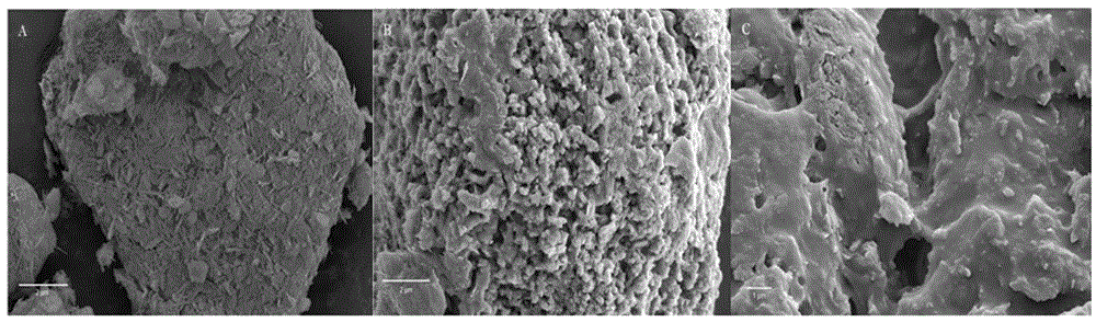 Preparation of Acrylic Acid/Polyvinylpyrrolidone/Palygorskite Composite Adsorbent Material