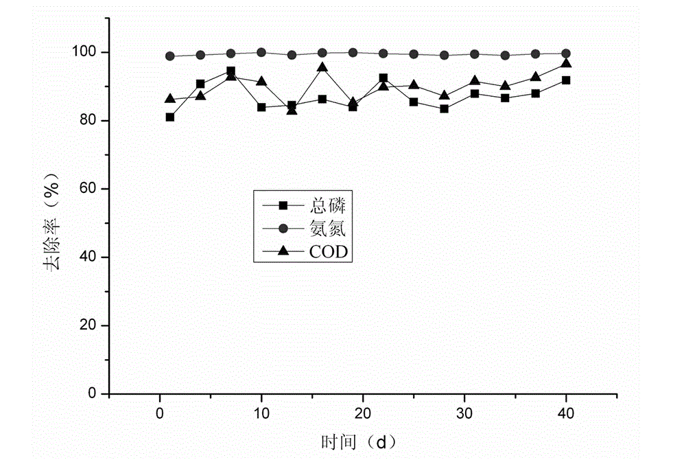 Comprehensive treatment method for liquid dung of livestock and poultry and domestic wastewater in country