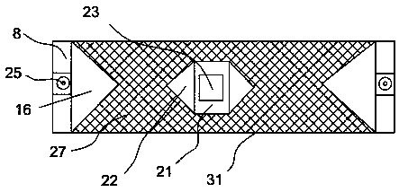 Squid sorting device