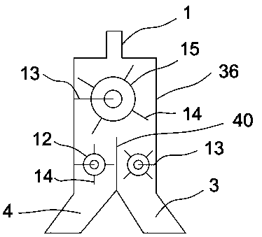 Squid sorting device