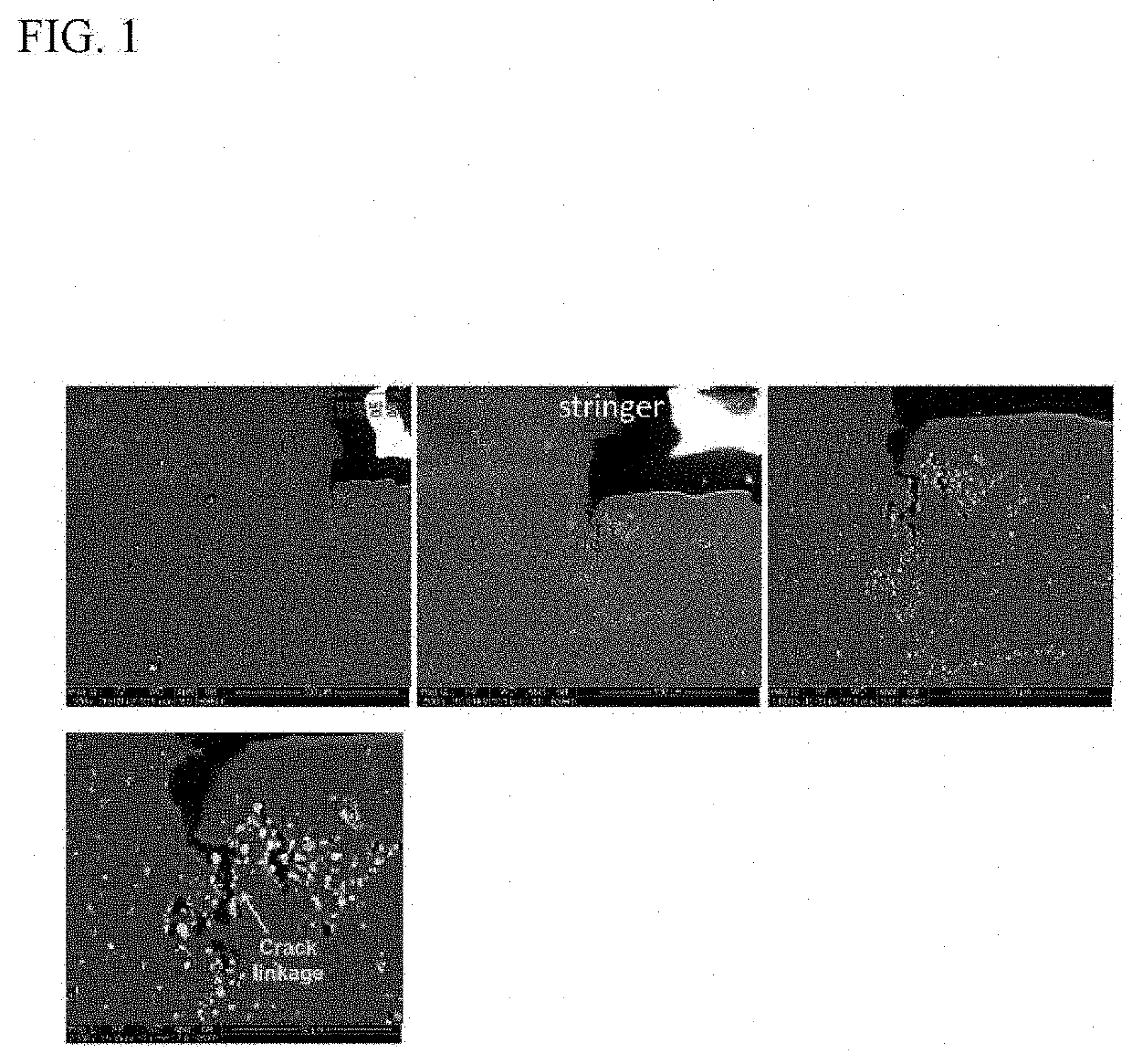 Magnesium alloy sheet and method for producing same