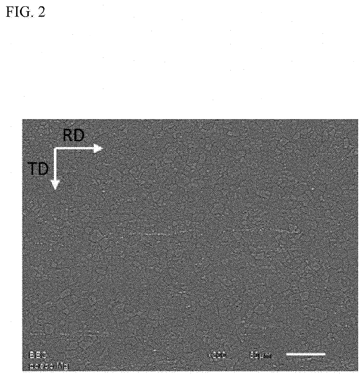 Magnesium alloy sheet and method for producing same