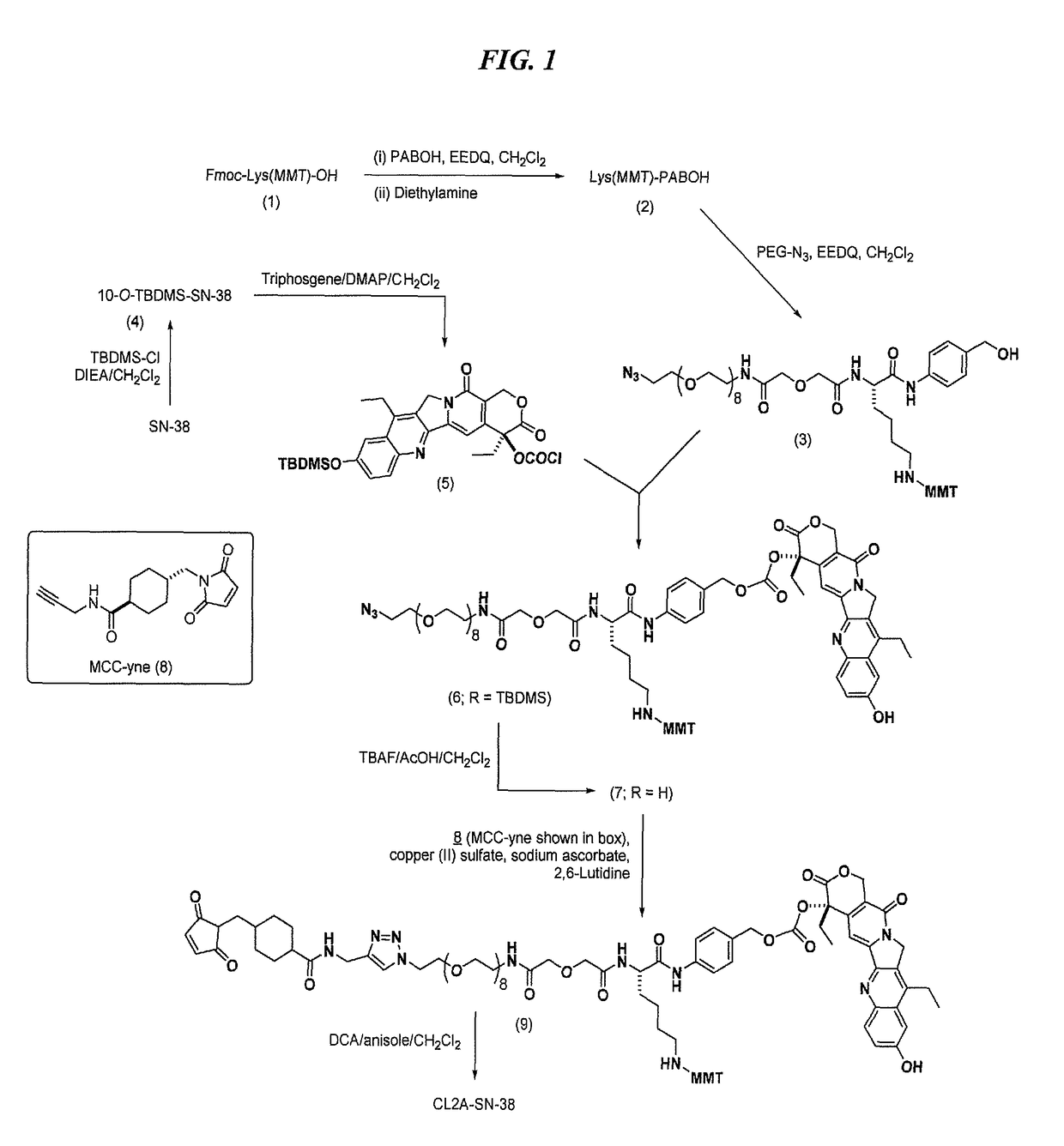 Antibody-SN-38 immunoconjugates with a CL2A linker