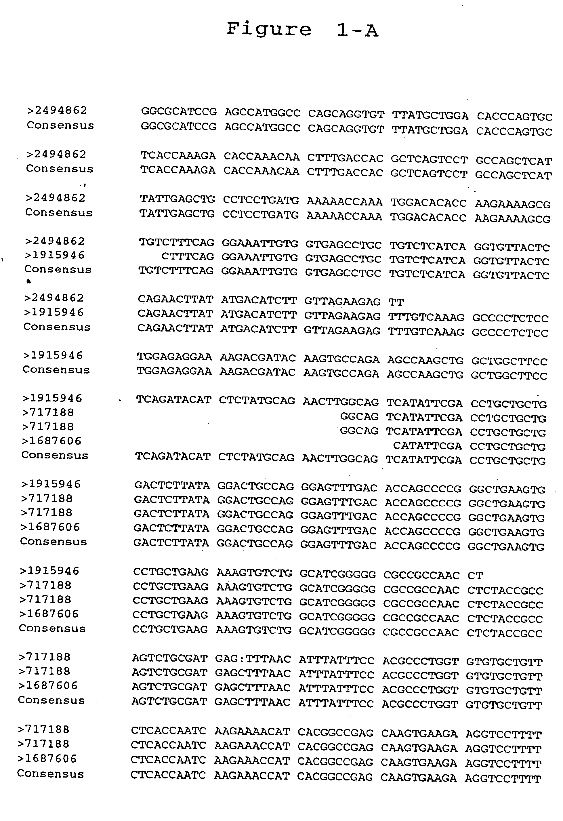 Reagents and methods useful for detecting diseases of the prostate