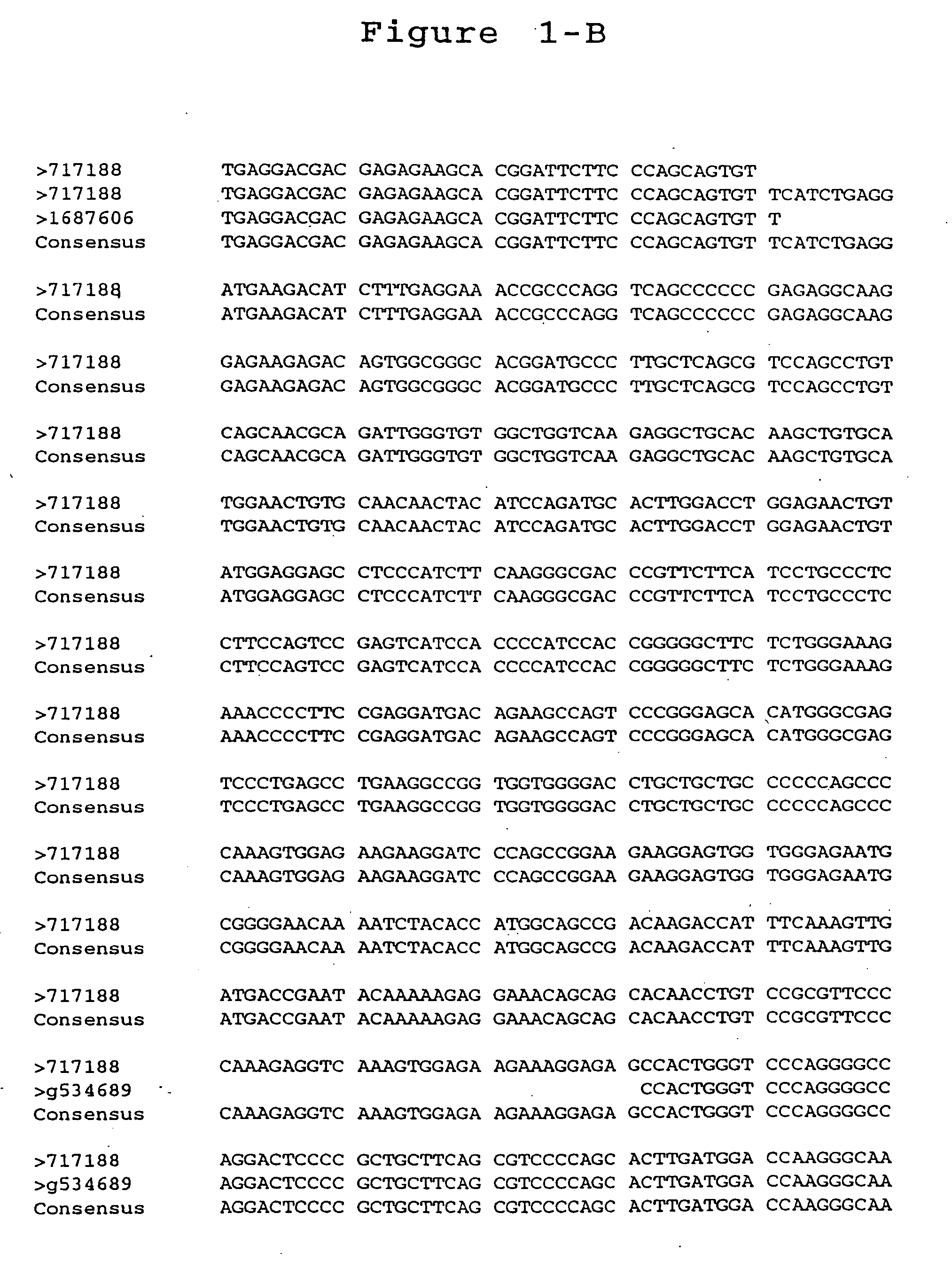 Reagents and methods useful for detecting diseases of the prostate