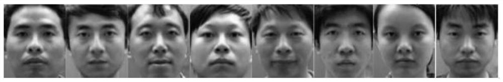 Single-sample face recognition method based on sparse representation of hybrid extension block dictionary