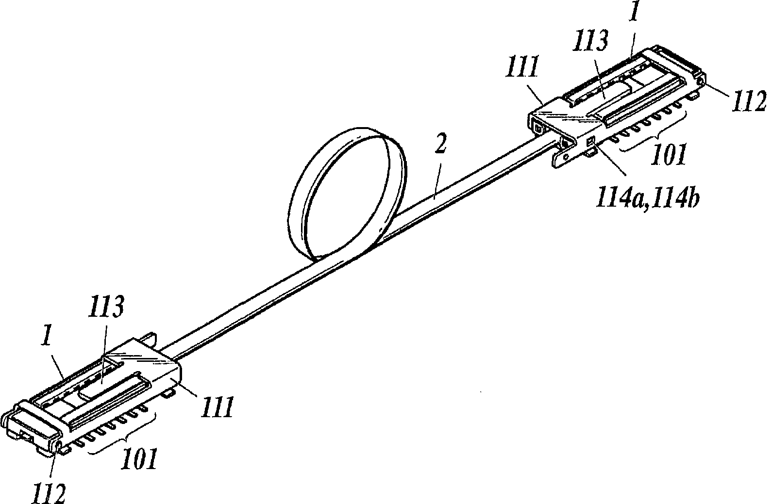 Electrooptic conversion module