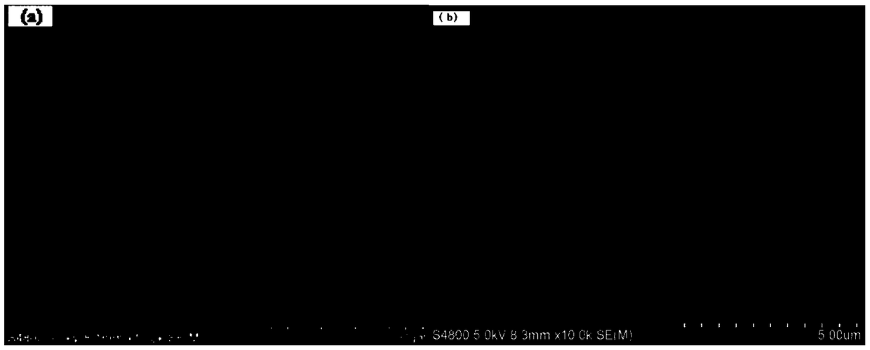 A bioresponsive targeted dual-drug sustained-release carrier material and preparation method thereof