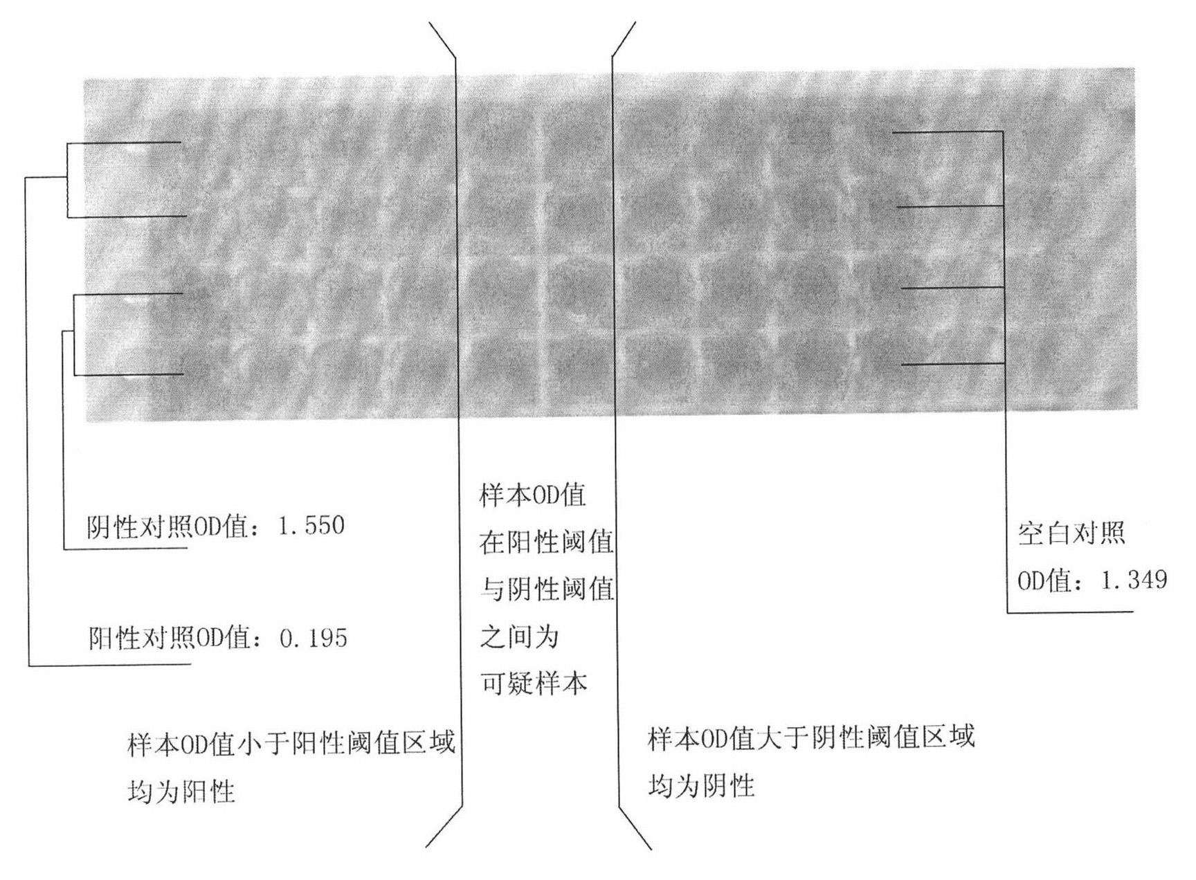 Competitive ELISA (Enzyme-Linked Immuno Sorbent Assay) kit for detecting antibody of African swine fever virus and application thereof