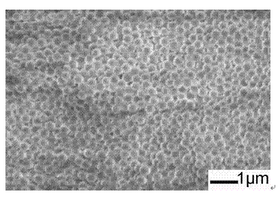 Method for preparing three-dimensional ordered macroporous material by using water-soluble colloidal crystal as template