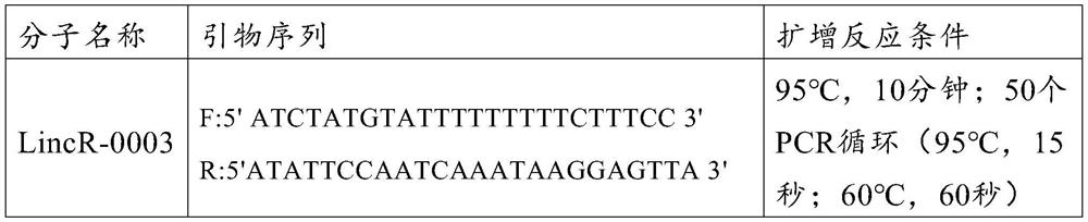 LincR-0003 and application thereof as molecular marker for early diagnosis of radiation damage