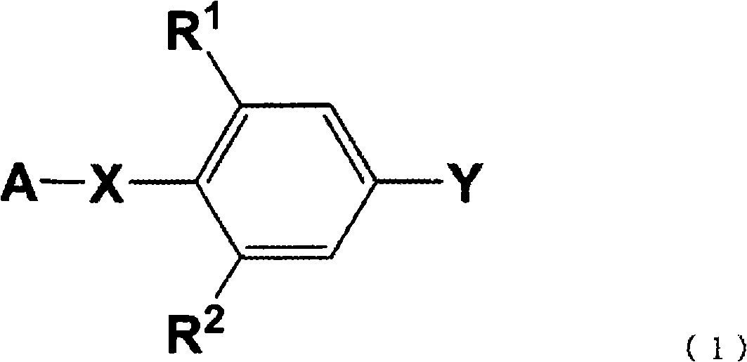 Process for producing phenyl-substituted heterocyclic derivative through coupling using transition metal catalyst