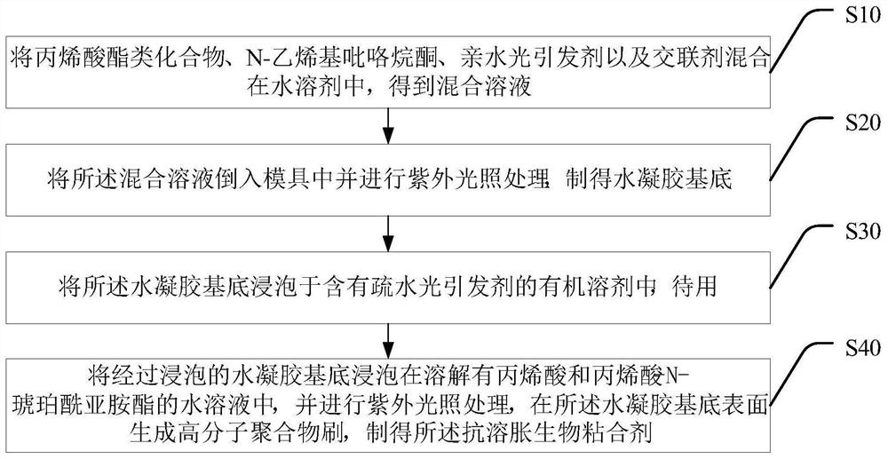 Anti-swelling biological adhesive as well as preparation method and application thereof