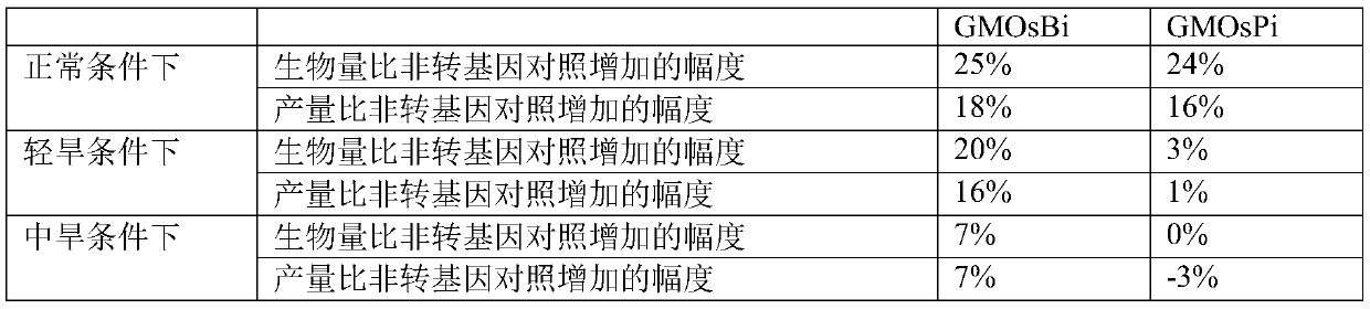 Method for improving drought tolerance of plants by improving photorespiration