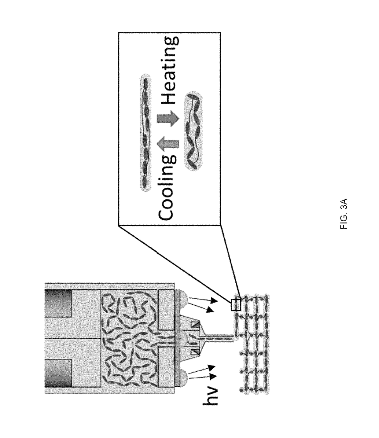 Extrusion printing of liquid crystal elastomers