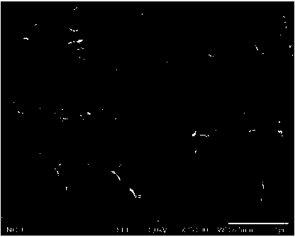 Structure of self-supporting supercapacitor electrode material and preparation method