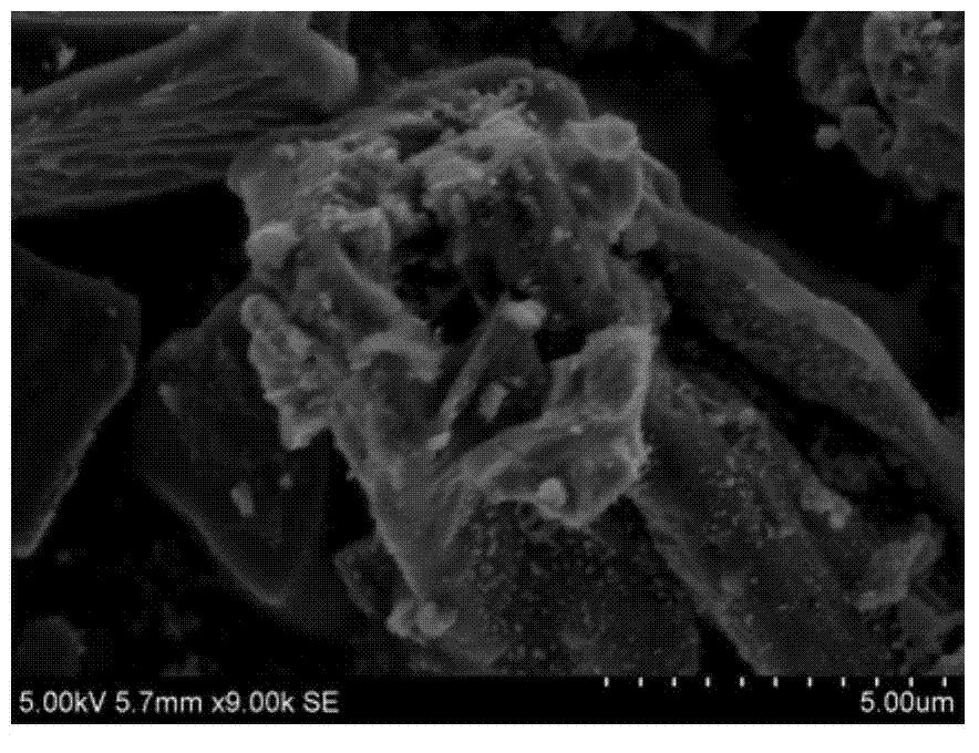 Antibacterial active carbon nano composite material and preparation method thereof