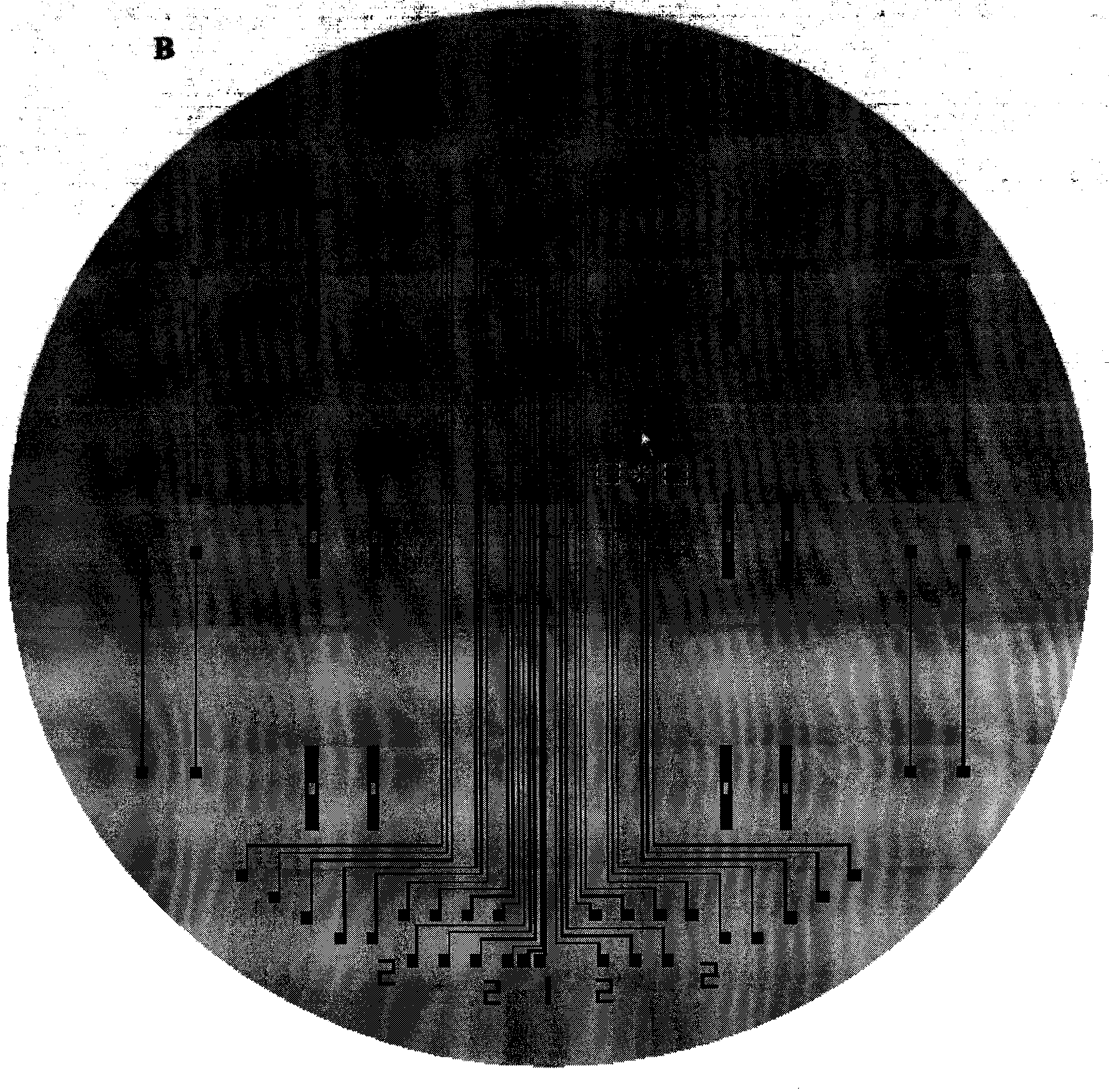 Micro-nano fluid system and preparation method thereof