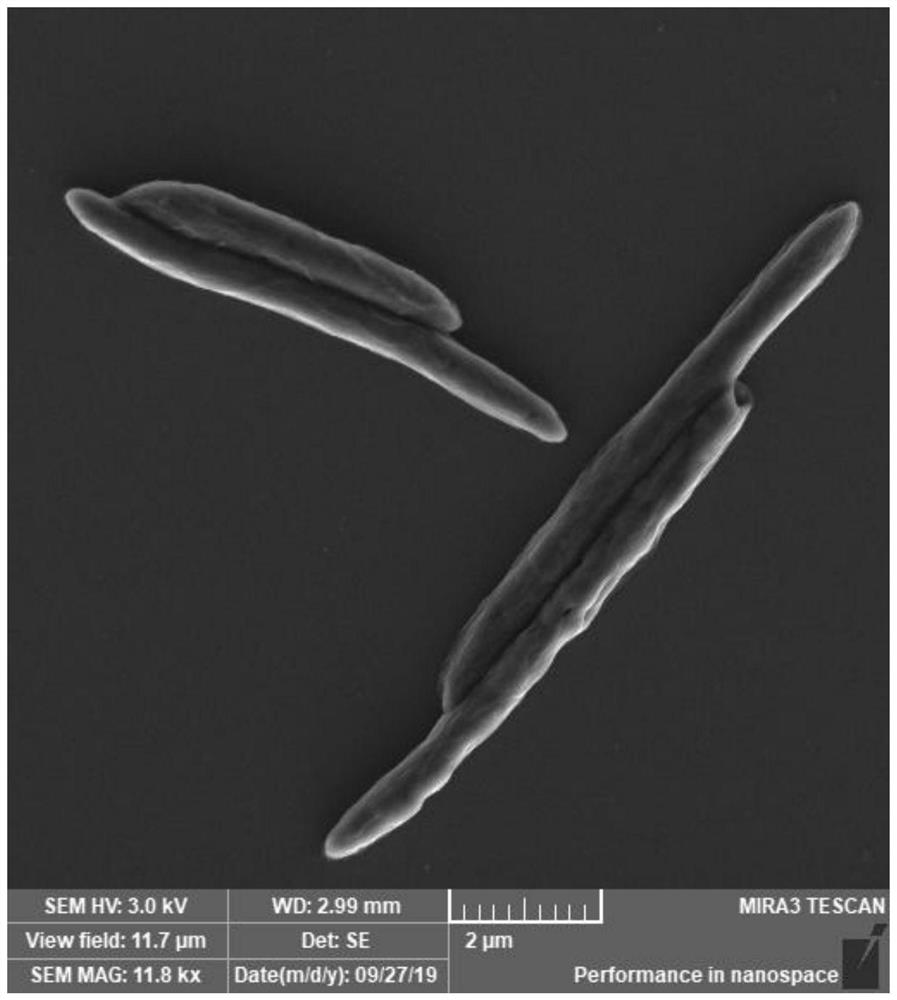 An acid-resistant and facultative anaerobic manganese-oxidizing bacteria and its application