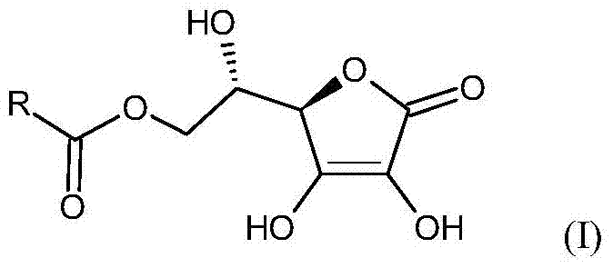 Composition for treating skin diseases caused by bacteria, fungi, viruses or parasites