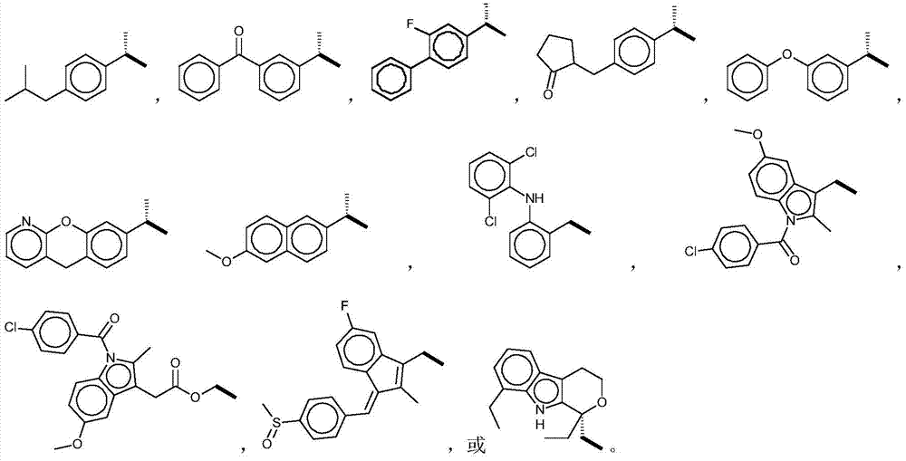 Composition for treating skin diseases caused by bacteria, fungi, viruses or parasites