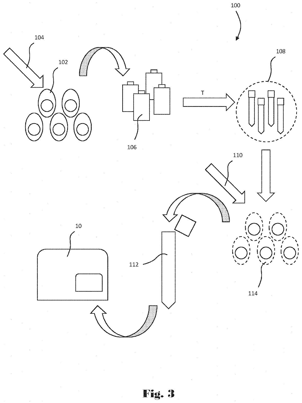 Computer-implemented apparatus and method for performing a genetic toxicity assay