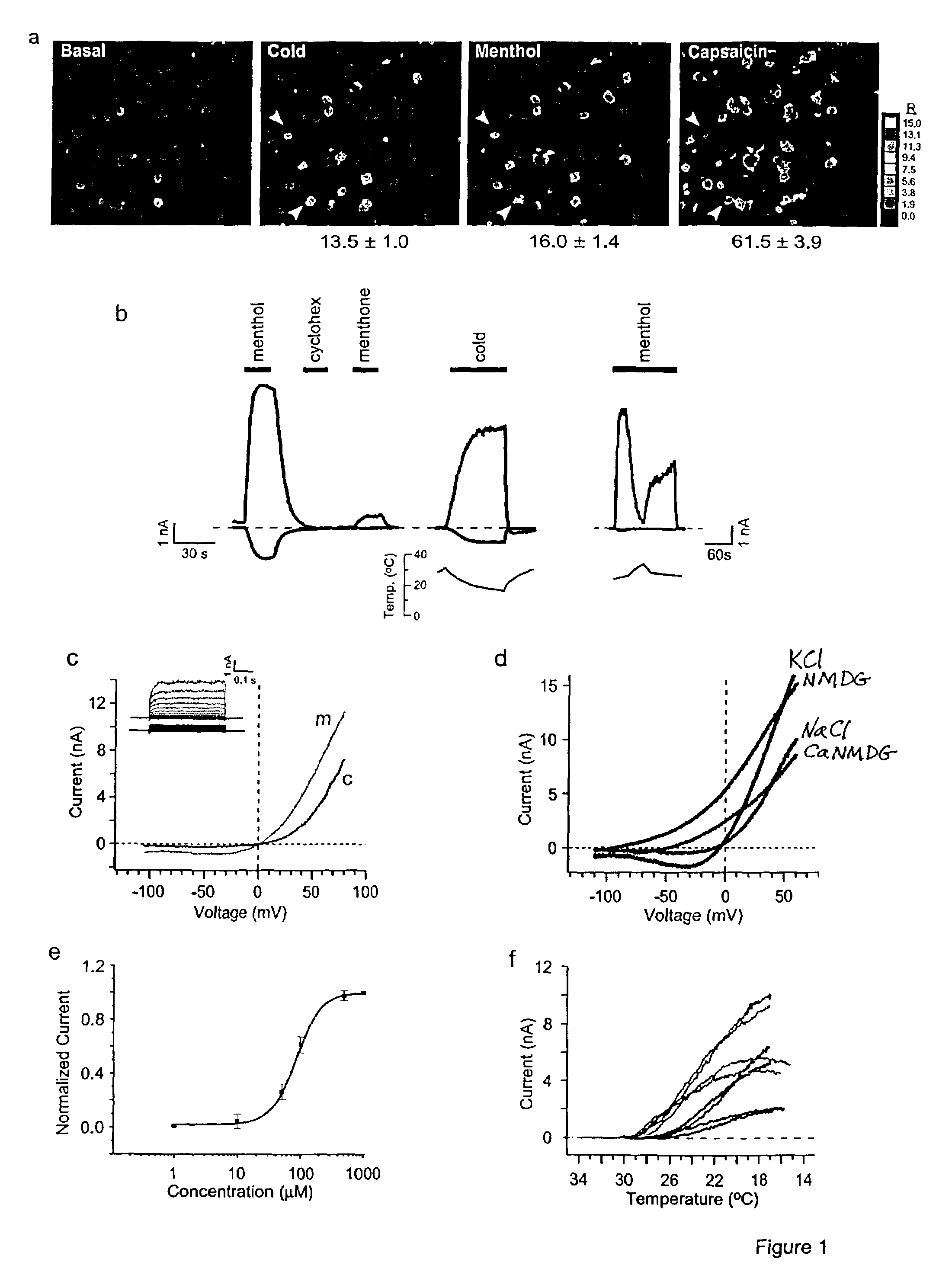 Methods of modulating cold sensory perception