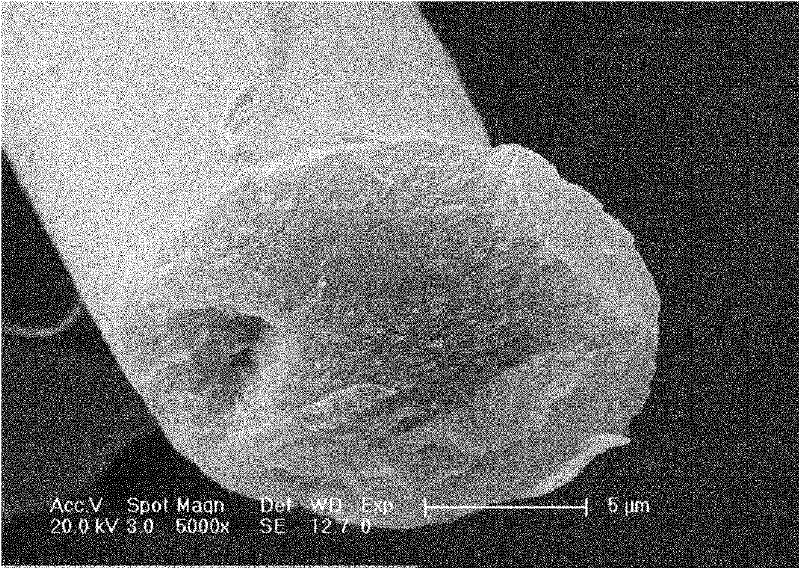 Polyimide fiber and preparation method thereof