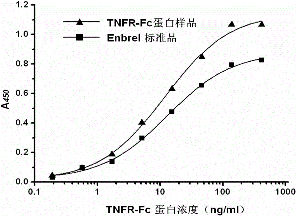 Gene for coding recombinant human TNFR-Fc fusion protein and application of gene