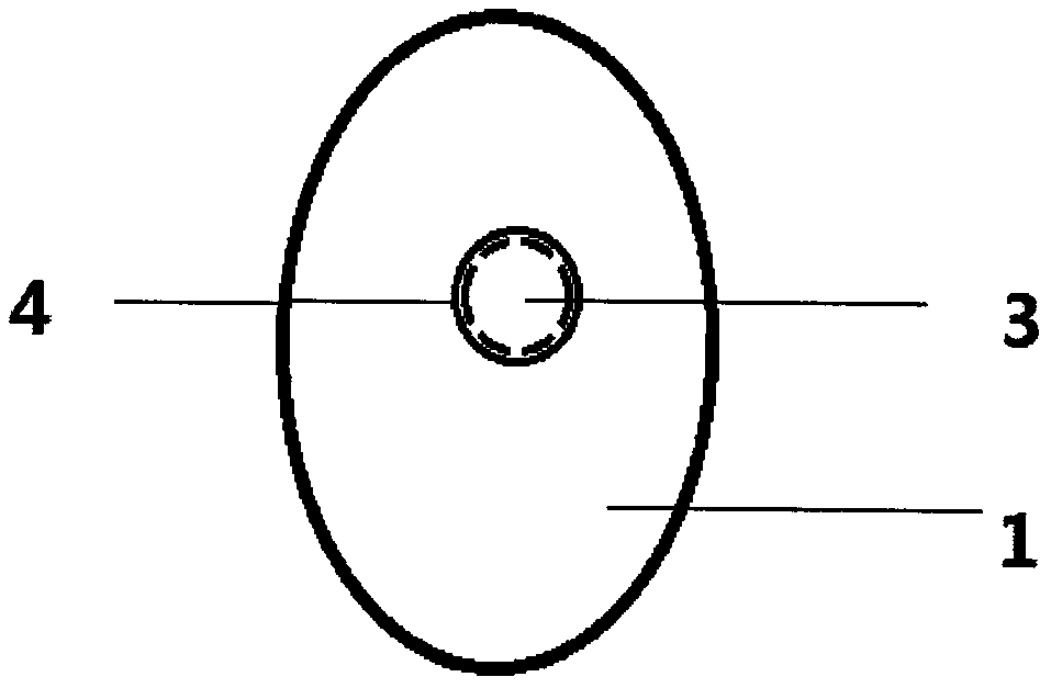 Nasal sinus flushing drug administration device