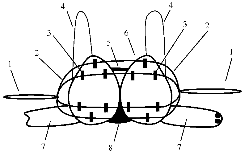 Simple massage brassieres