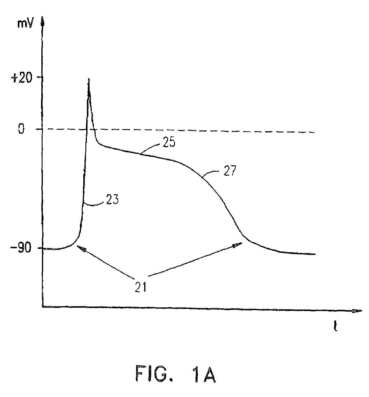 Electrical muscle controller