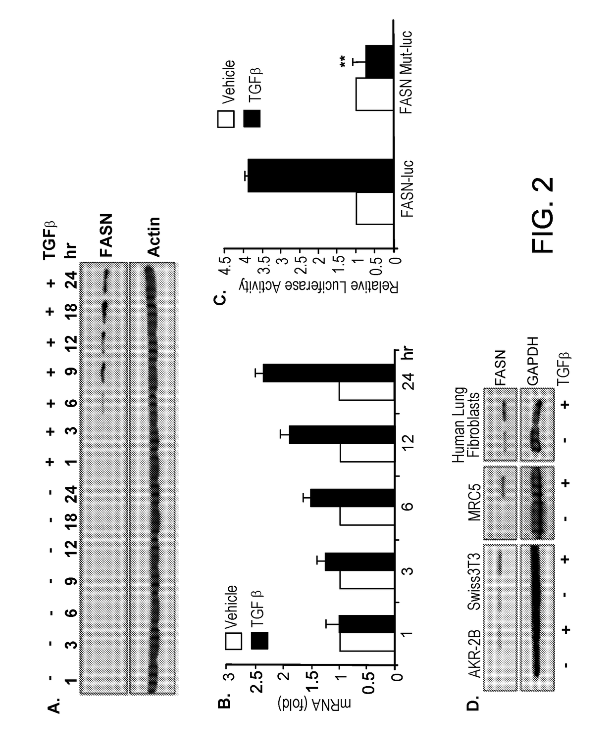 Using fatty acid synthase inhibitors to treat fibrosis