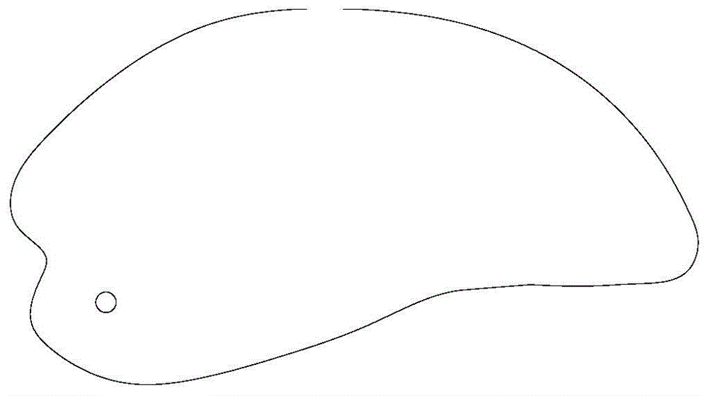 Skin scraping plate and manufacturing method thereof