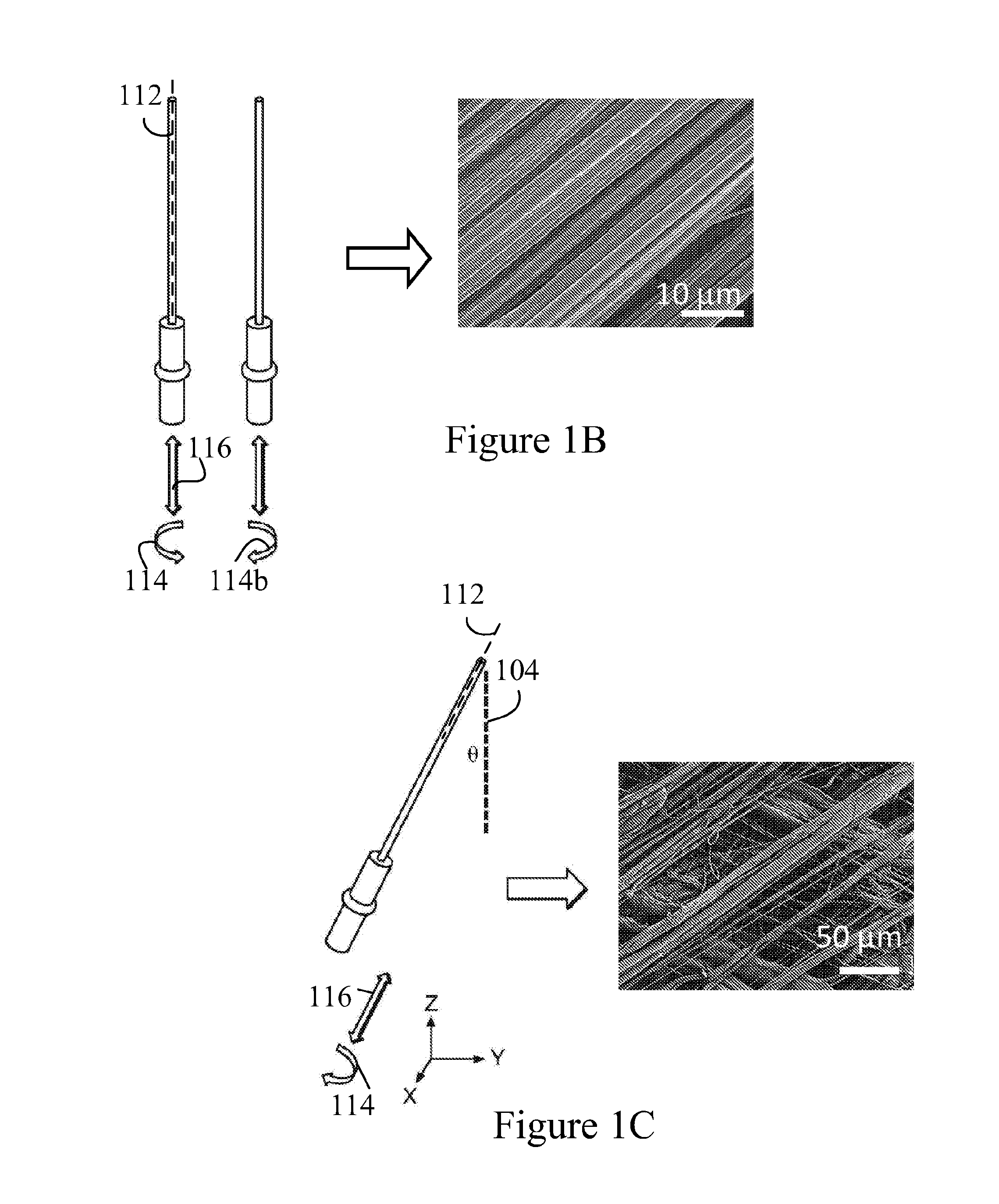 Engineered polymeric valves, tubular structures, and sheets and uses thereof