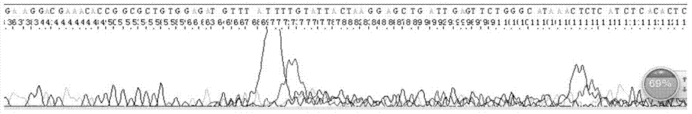 Sanger sequencing reaction optimization agent, sequencing reaction system and sequencing method employing optimization agent