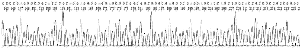 Sanger sequencing reaction optimization agent, sequencing reaction system and sequencing method employing optimization agent