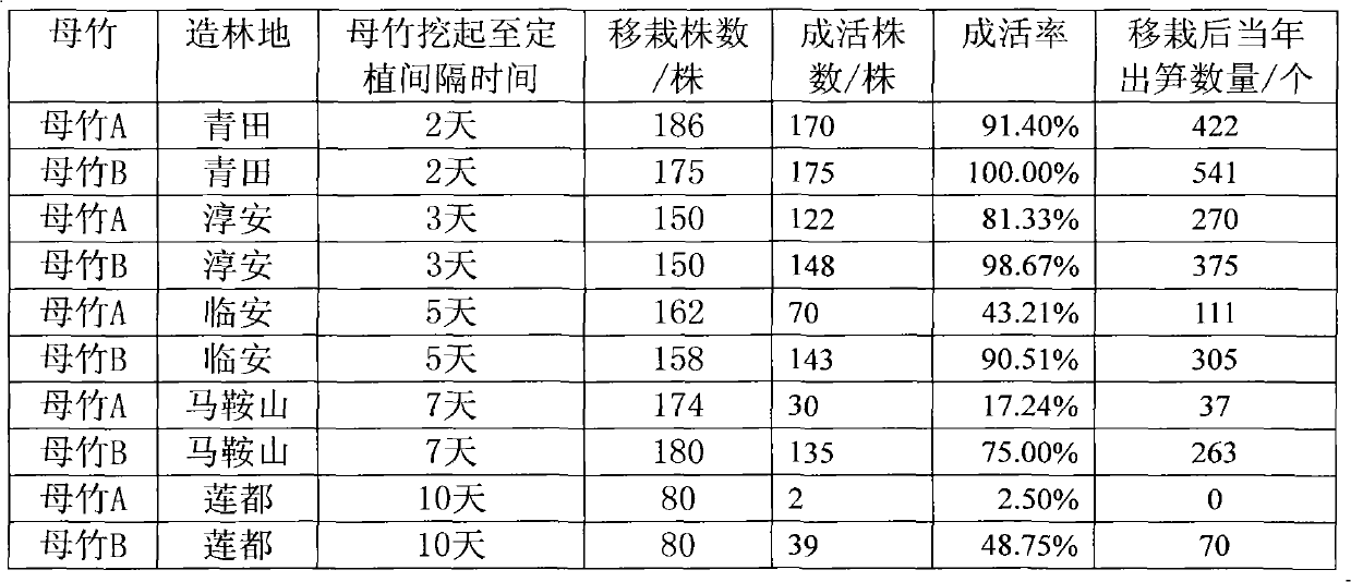 Long-distance introduction and afforestation method of acidosasa edulis