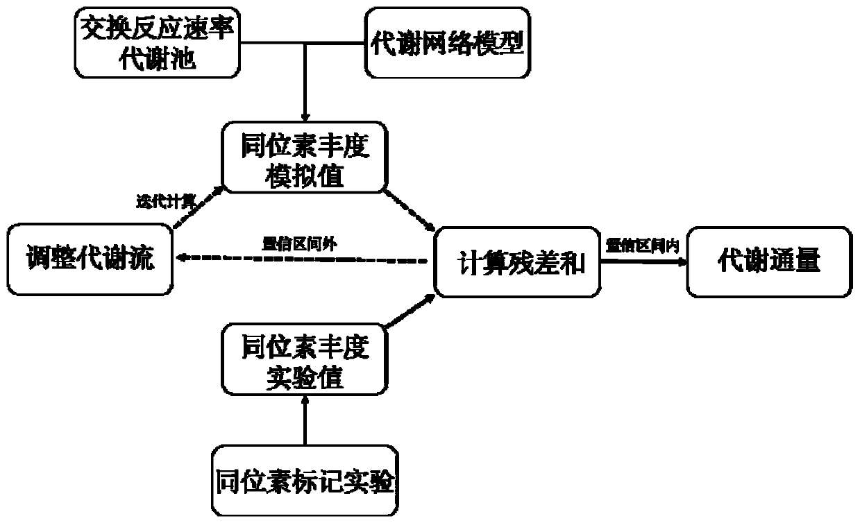 Method for obtaining metabolic flux of intracellular central carbon metabolic pathway in unsteady state of metabolic steady-state isotopes