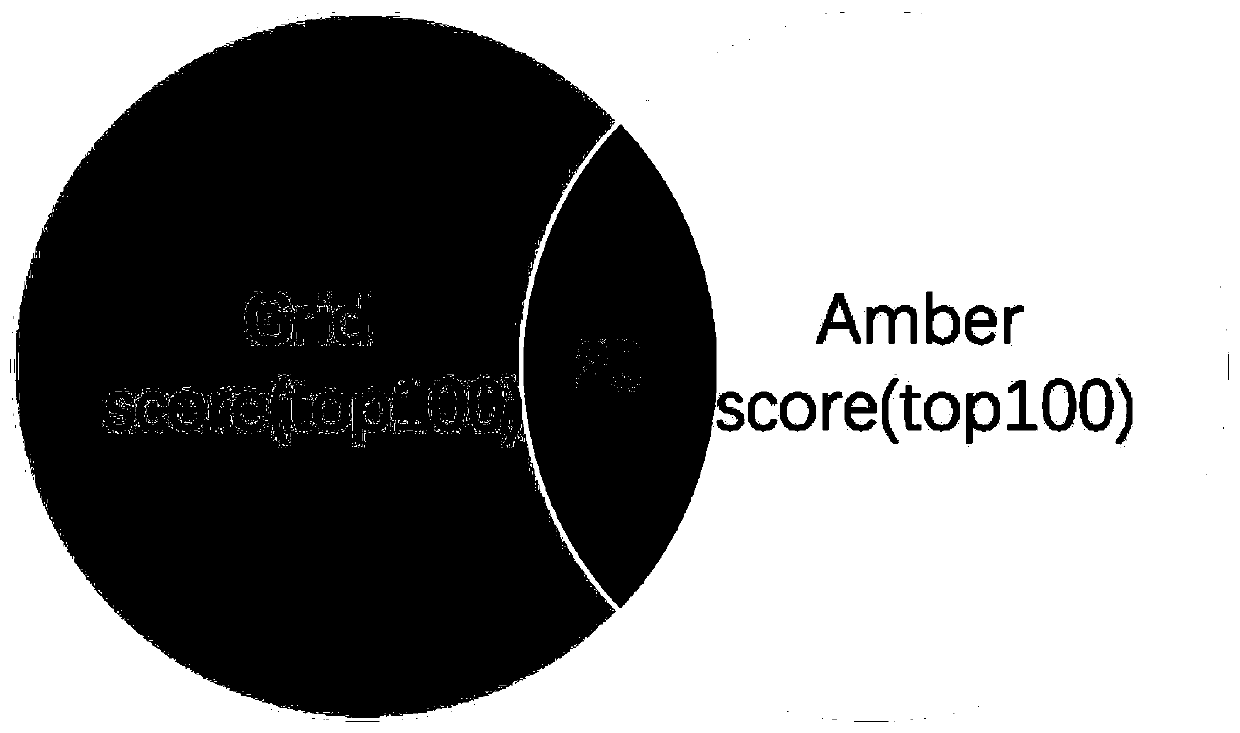 Application of Irinotecan based on simulation screening as AIBP inhibitor