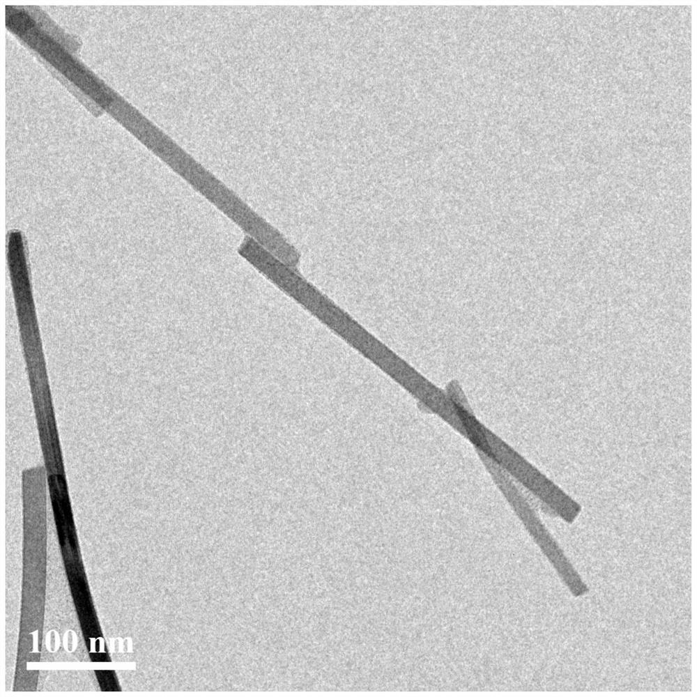 Preparation method and application of amorphous cobalt borate nanorod high-efficiency oxygen evolution electrocatalyst