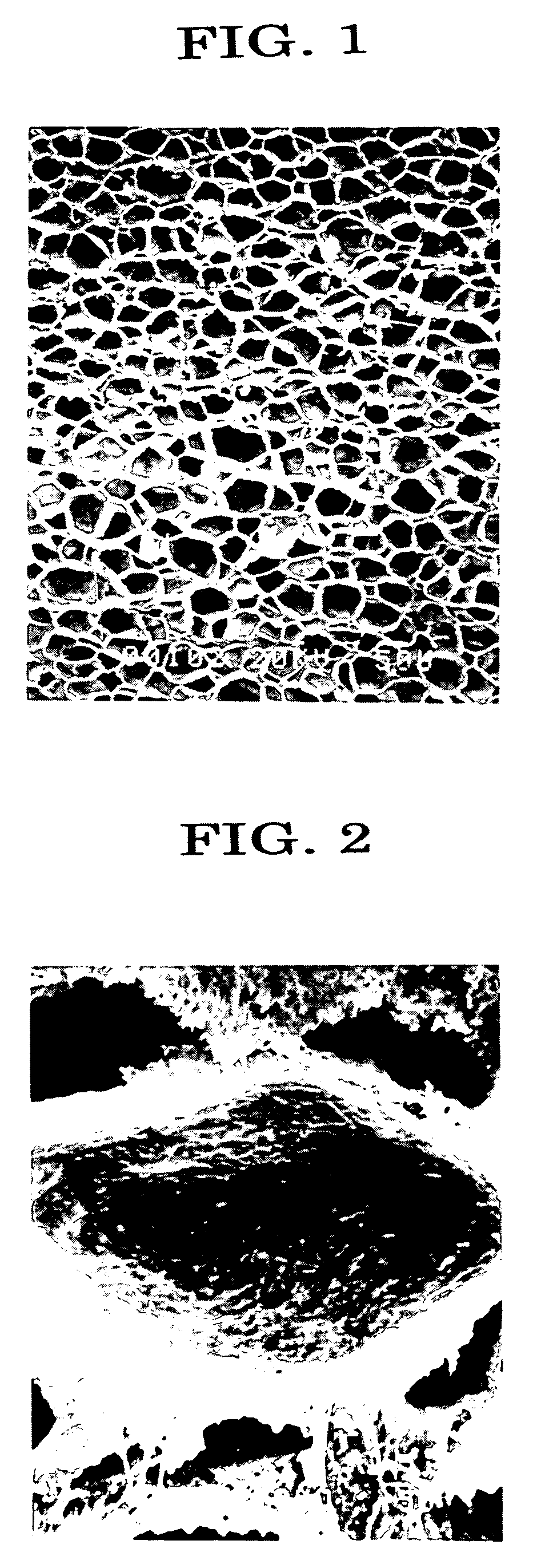 Dielectric resin foam and lens for radio waves using the same