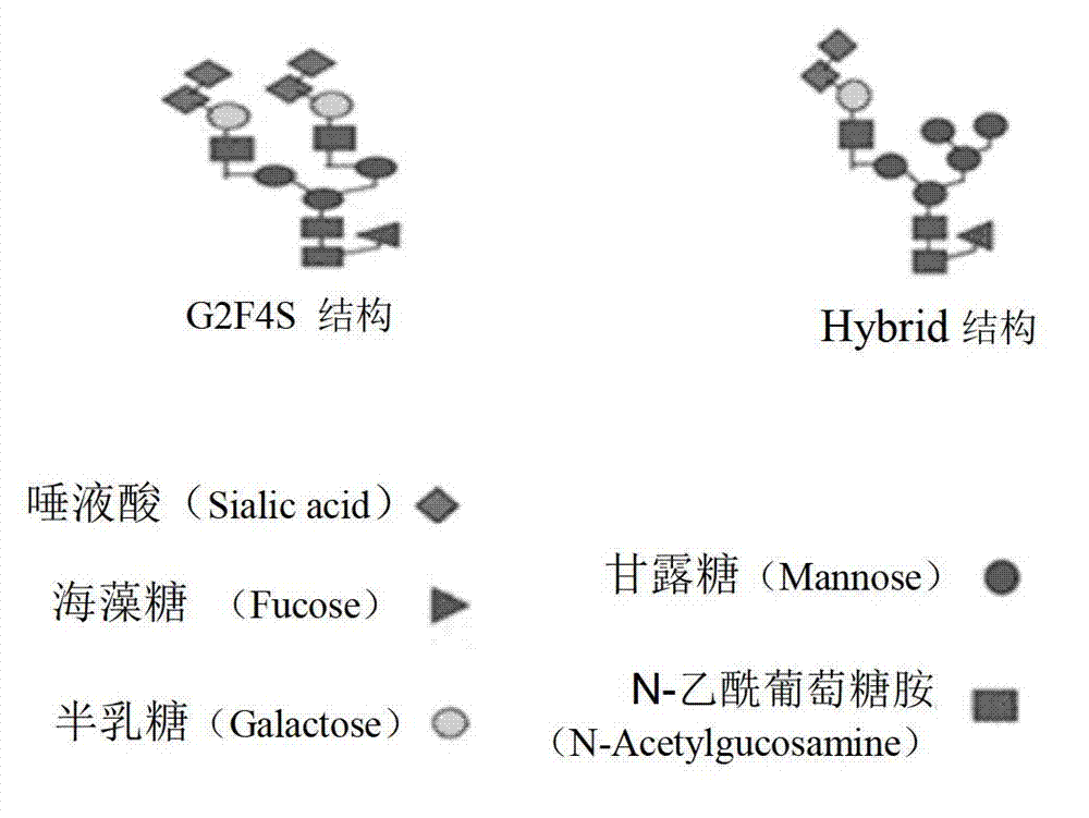 Agkistrodon acutus hemocoagulase-B