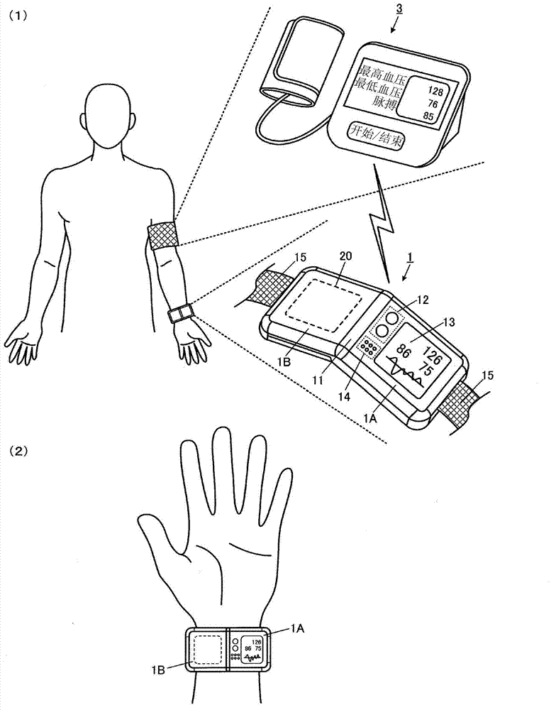 Blood pressure measurement apparatus and blood pressure measurement method