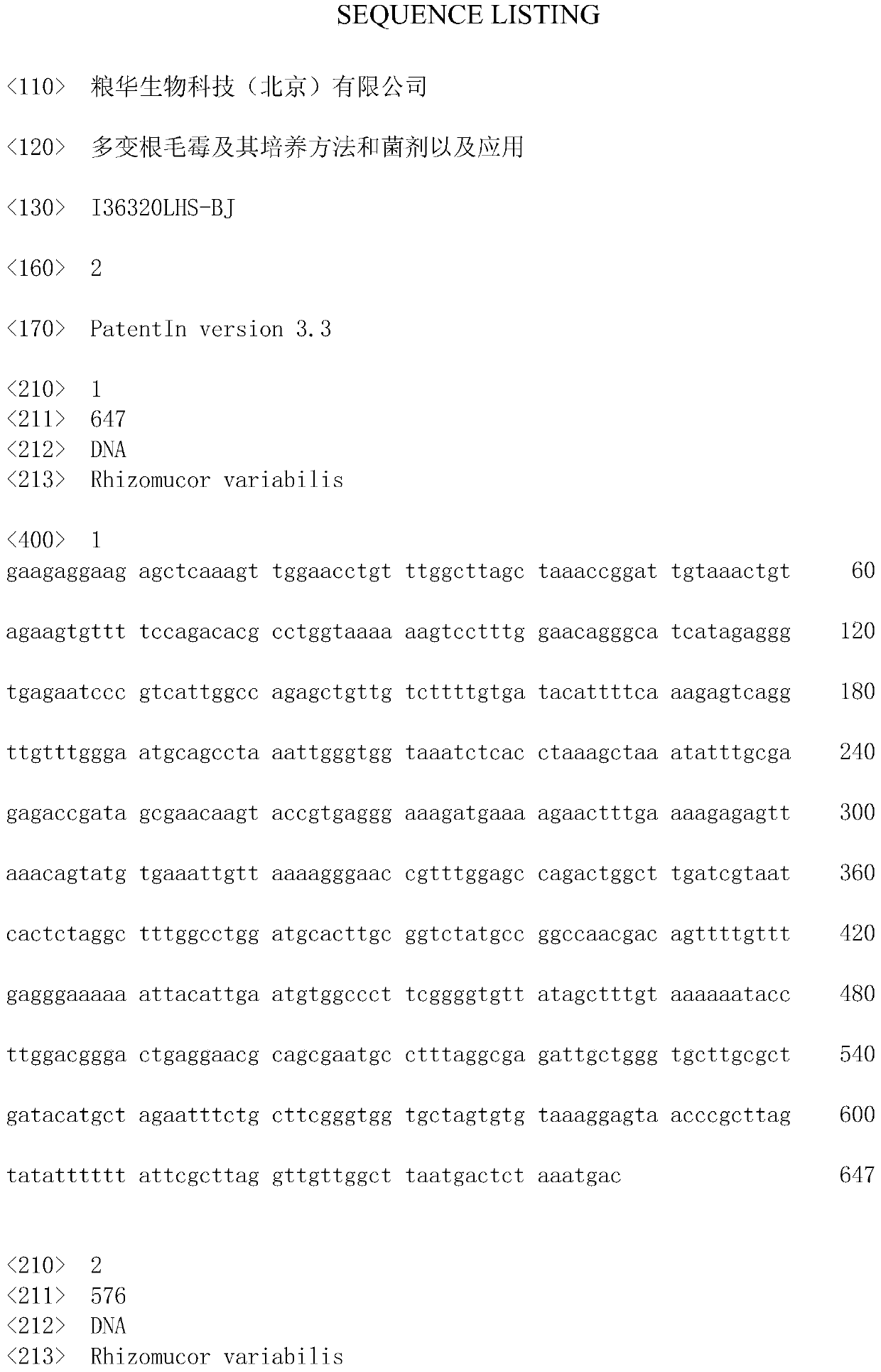 Rhizomucor variabilis and its cultivation method, bacterial agent and application