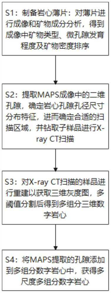 Multi-scale multi-component digital core construction method and system based on image fusion